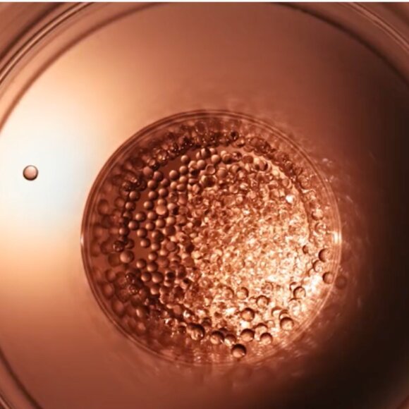 DIOR Prestige La Micro-Huile de Rose Activated Serum NWOB 2.5 oz ret $580 - Picture 3 of 10